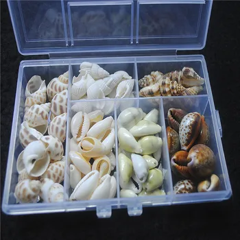 1 пакетче Мъниста от естествен coquina россыпь перли, различни форми, 12X8,5 см, ръчно изработени, Безплатна доставка